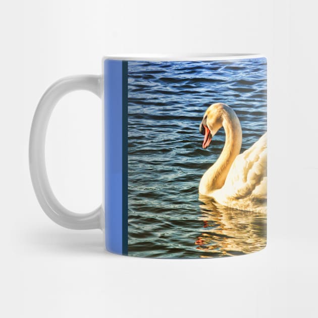 Swan wading on water in sunshine by Blue Butterfly Designs 